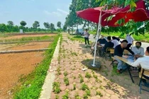 Môi giới cần phải có chứng chỉ hành nghề và có thể bị xử phạt nếu cung cấp thông tin chưa đúng hoặc chưa đầy đủ (Ảnh minh họa: Thế Hưng).