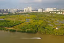 Quốc Cường Gia Lai nói gì khi bị tố chiếm đoạt 2.882 tỉ đồng?