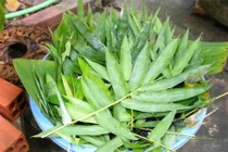 Trị bệnh da mùa hè từ lá thiên nhiên