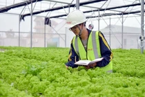 Hậu Covid - 19 và bài toán "ly nông bất ly hương"