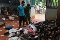 Chân bò, nội tạng nhập lậu giá... 6.000 - 11.000đ/kg