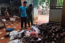 Chân bò, nội tạng nhập lậu giá... 6.000 - 11.000đ/kg