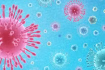 Virus lai phục vụ nghiên cứu an toàn và phát triển văcxin