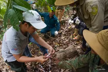 Bổ sung gần 427 tỷ đồng cho bảo vệ và phát triển rừng năm 2021