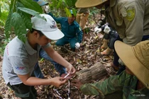  Cơ quan Phát triển Quốc tế Hoa Kỳ giúp Huế và Quảng Nam bảo vệ đa dạng sinh học 