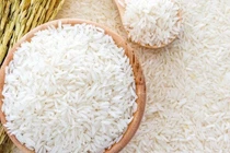  Giá gạo xuất khẩu tăng nhẹ trong tuần đầu tháng 8/2020