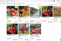 Từ năm 2022, sàn thương mại điện tử kết nối thông tin với cơ quan thuế