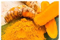 Nghệ vàng lợi mật