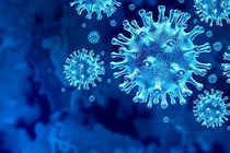 Phát hiện biến thể mới của SARS-CoV-2, tốc độ lây nhiễm nhanh nổi trội