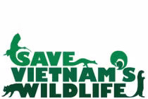 Tìm hỗ trợ xây dựng văn phòng SVW tại Hà Nội