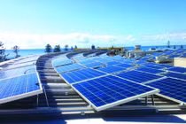 Từ 25/4, giá mua điện sinh khối tăng