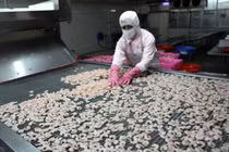 Vừa đón tin vui, thế mạnh 8 tỷ USD của Việt Nam bị cảnh báo nguy hiểm