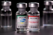 Quỹ vaccine tiếp nhận thêm hơn 1.000 tỷ đồng và hiện vật