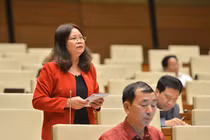 Đại biểu Quốc hội lên tiếng về nạn “bảo kê máy gặt”