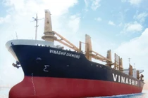 Dẫn đầu trong đà tăng trưởng là cổ phiếu VNA của Công ty Cổ phần Vận tải Biển Vinaship.