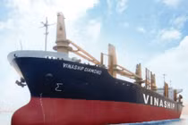 Dẫn đầu trong đà tăng trưởng là cổ phiếu VNA của Công ty Cổ phần Vận tải Biển Vinaship.