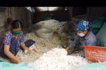 Trung Quốc mua gần 20 triệu USD lông gà, lông vịt của Việt Nam