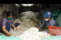 Trung Quốc mua gần 20 triệu USD lông gà, lông vịt của Việt Nam