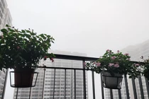 Dự báo thời tiết 9/3, Hà Nội sương mù giăng kín