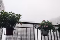 Dự báo thời tiết 9/3, Hà Nội sương mù giăng kín