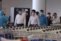 190.000 lưu học sinh Việt Nam đang ở nước ngoài: Bộ GD&ĐT khuyến cáo khẩn