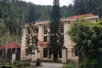 Giao đất trái quy định tại lâm trường Ngân Sơn: Kết luận thanh tra bị “lãng quên” như thế nào?