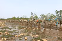 Hướng đến năm 2030 giảm 75% rác thải nhựa trên biển