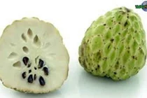 Giá trị làm thuốc từ quả na