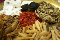 Độc hoạt tang ký sinh phù hợp với từng vùng miền