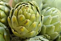 Thảo dược giúp mát gan