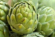 Thảo dược giúp mát gan