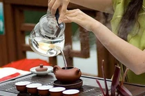 Giảm cân với trà bồ công anh và lá sen