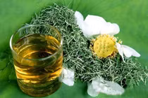 Lá sen với lá vối có tác dụng gì?