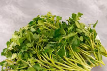  Cải xoong chữa bí tiểu, thận mật có sỏi