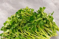  Cải xoong chữa bí tiểu, thận mật có sỏi