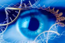 Thuốc điều trị đục thủy tinh thể có thể trở thành hiện thực