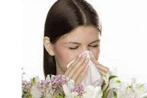 Phương dược trị tắc mũi, đau trán, mệt mỏi