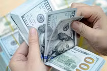 Tỷ giá USD/VND vẫn tiếp tục ổn định