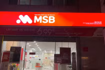 DATC sẽ bán 310.000 cổ phiếu MSB trong tháng 7 - 8