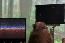 Dự án thử nghiệm kết nối não với internet bị kiện 