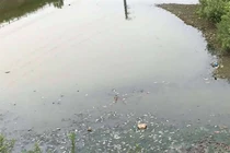 Hà Nội: Vì sao suối Con Gái bị ô nhiễm? 