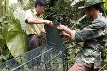 Tái thả động vật hoang dã đúng cách