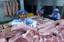 Không nên ảo tưởng có thể hạ giá thịt lợn