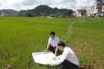 Từ ngày 1/8, kiểm kê đất đai, lập bản đồ hiện trạng sử dụng đất trên toàn quốc