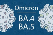 Số lượng ca nhiễm biến thể phụ BA.4, BA.5 tại Việt Nam
