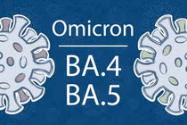 Số lượng ca nhiễm biến thể phụ BA.4, BA.5 tại Việt Nam