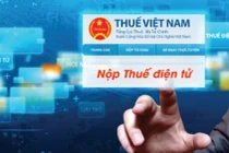 Chính sách giảm thuế thu nhập doanh nghiệp chính thức có hiệu lực