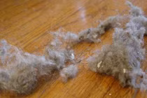 Máy hút bụi thông minh