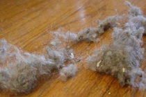 Máy hút bụi thông minh