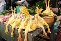 Nguy cơ khi ăn thịt gia cầm già, thải